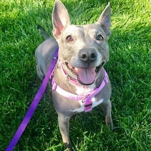 Meet your Posher, Megan